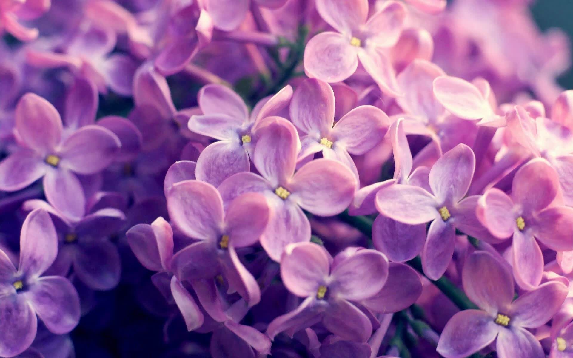 智能软件排名第一的公司是哪家（ia智能软件排行）